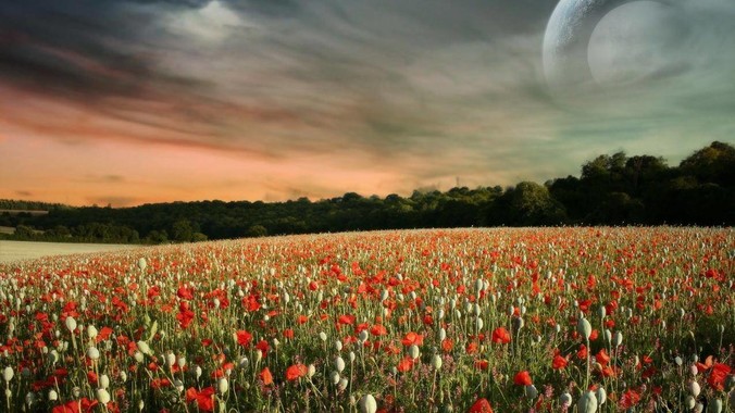 哪些让你用了觉得相见恨晚的键盘？